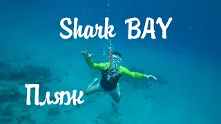 Пляж Shark Bay | Пляж отеля Sharm Bride Resort Aqua