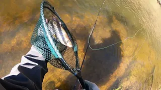 Flyfishing Нахлыст, Grayling. Хариус. рыбалка на маленьких реках.