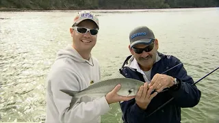 IFISH Merimbula NSW