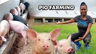 Secrets To Starting Profitable PIG Farming BUSINESS For Beginners!