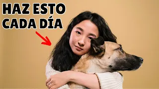 Haz que tu perro TE QUIERA MÁS ➡️ 12 formas probadas por científicos