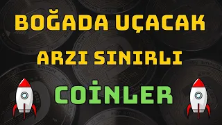 Boğada Uçacak Coinler | Boğada Zengin Edecek Coinler | En iyi Altcoin sepeti | Kripto sepeti