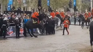 Police woman rescued by colleagues as kings guards horse backs into rallings #kingscoronation