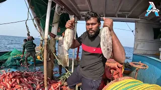 Amazing Fastest Giant Bluefin Tuna Fishing Skill - Most Satisfying Sea Fishing Video @FISH_TV