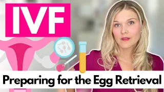 Egg Retrieval: What To Expect with IVF