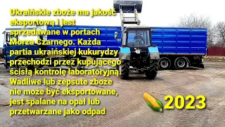 ЗЕРНО їде в ПОРТ❌ з місця 125$/т. Odpowiedzcie drodzy polscy koledzy