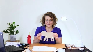 Making Shadow Puppets Part 2: Build | Tinker & Create STEM Challenges At Home | Scitech WA