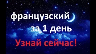 Французский язык за 1 день. Осуществи свою мечту!