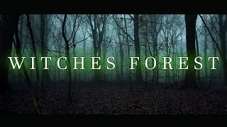 THE WITCHES FOREST | Full Movie