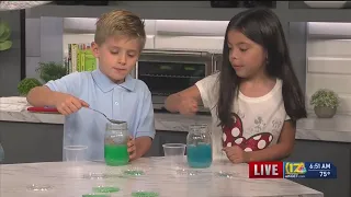 Backyard Science: Making crazy crystals and sun catchers