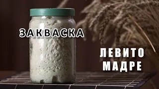 Закваска. Пошаговый рецепт. Выведение закваски Левито Мадре.