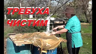 ТРЕБУХА ЧИСТИМ! не БРОСАЕМ!