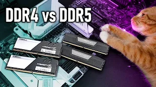 Up to 25% more Performance using DDR5? How Big is the Difference between DDR4 and DDR5 on Z690?