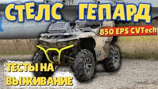 СТЕЛС ГЕПАРД 850. ТЕСТЫ НА ВЫЖИВАНИЕ