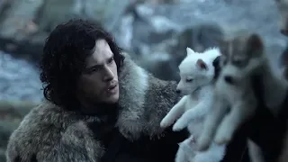 Direwolf Pups : Game Of Thrones : S01 E01