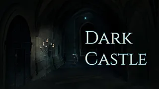 In a Dark Castle | Ambience and Fantasy Music | Inside of a castle where a dark sorcerer lives