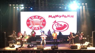 Волга-Волга feat Мамульки Бенд - Белые розы 20.08.2017 (ГлавClub Green Concert, Москва)