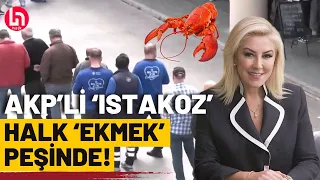 "AKP’nin ıstakozu"na vatandaştan sert tepki: Haram, zehir zıkkım olsun!