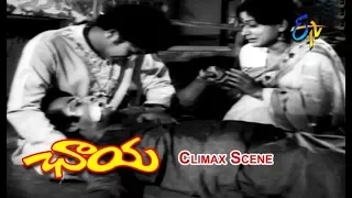 Climax Scene | Chaaya | Satyendra Kumar | Roopa Devi | ETV Cinema