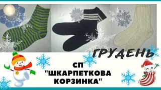 Мої шкарпетки грудня в СП "Шкарпеткова корзиночка". Підсумки участі, чи все в стигла?
