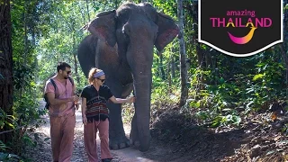 AMAZING Elephant Sanctuary Experience Chiang Mai, Thailand