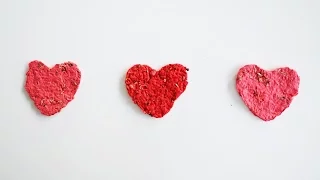 How to Make Seed Paper Hearts | Sunset