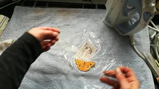 Transfer images on fabric using Cling film/ wrapping foil