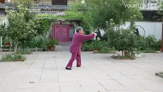 Mr. Han Qingmin demonstrates the traditional 85-style Yang Style Tai Chi
