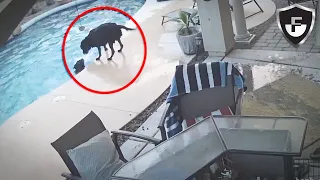 Caught On Camera: 5 Real Life Heroes #2