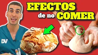 ¡CONSECUENCIAS de NO COMER PAN y HARINA en TU CUERPO!| INCREIBLES EFECTOS en TU METABOLISMO