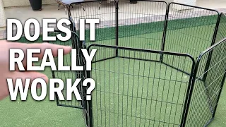 BestPet Dog Playpen Review - Does It REALLY Work?