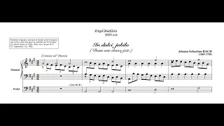 И. С. Бах - Хоральная прелюдия "In dulci jubilo", BWV 608 - Вольфганг Церер