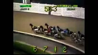 1988 Yonkers Raceway Deadly Fella Open Pace