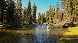 Fly Fishing Idaho’s Hidden Backcountry Stream | Can We Find Fish?