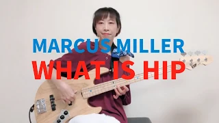 Marcus Miller - What Is Hip Beginning part Bass and DAW Cover