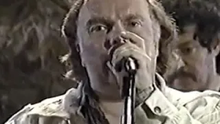 Van Morrison Live 1990 "MOONDANCE" w/ a big band!