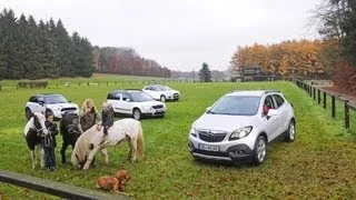 Countryman, Yeti, Mokka, ASX - Wer baut den besten Pony-SUV?