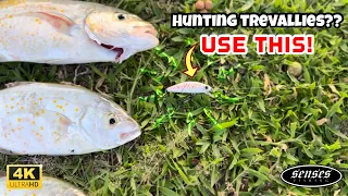 EFFECTIVE LURE FOR HUNTING TREVALLY (TALAKITOK) - Ultralight Fishing