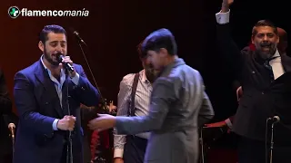 2022 - Así Canta Jerez en Navidad - 20 - Fin de Fiesta - Bulerías de Nochebuena