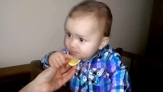 Дитина їсть лимон baby eating lemon Маленькие дети едят лимон