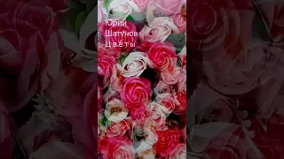 Юрий Шатунов - Цветы 🌺 🌺 🌺 #юрийшатунов #светлаяпамять