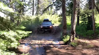 Toyota 4Runner off-roading in Eldorado National Forest