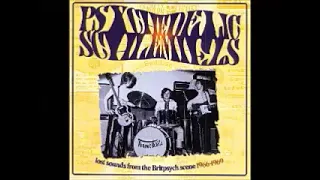 Various ‎– Psychedelic Schlemiels Vol 1: Lost Sounds From The Britpsych Scene 1966-1969 UK Pop Rock