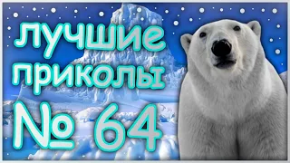 Лучшие приколы 64. Лучшие приколы. Смешно до слез. Попробуй не засмеяться. Видео приколы. Coub. 2019