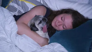 Sleeping Next to Your Dog Has Scientific Benefits