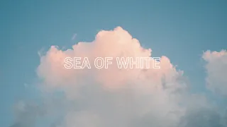 Divorce Court - Sea Of White