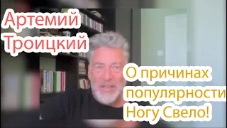 Артемий Троицкий о причинах популярности группы Ногу Свело!