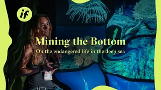 IF: Mining the Bottom / On the endangered life in the deep sea