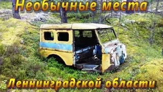 Тайны Ржевского  полигона.  ДОТ №1