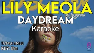 Lily Meola - Daydream - Karaoke Instrumental - Male